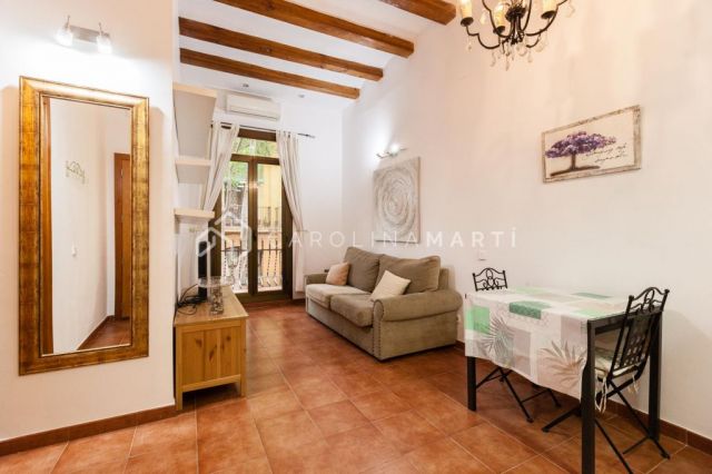 APARTMENT FOR RENT IN CALLE MARGARIT